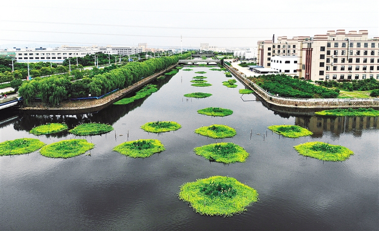 生态河道再修复